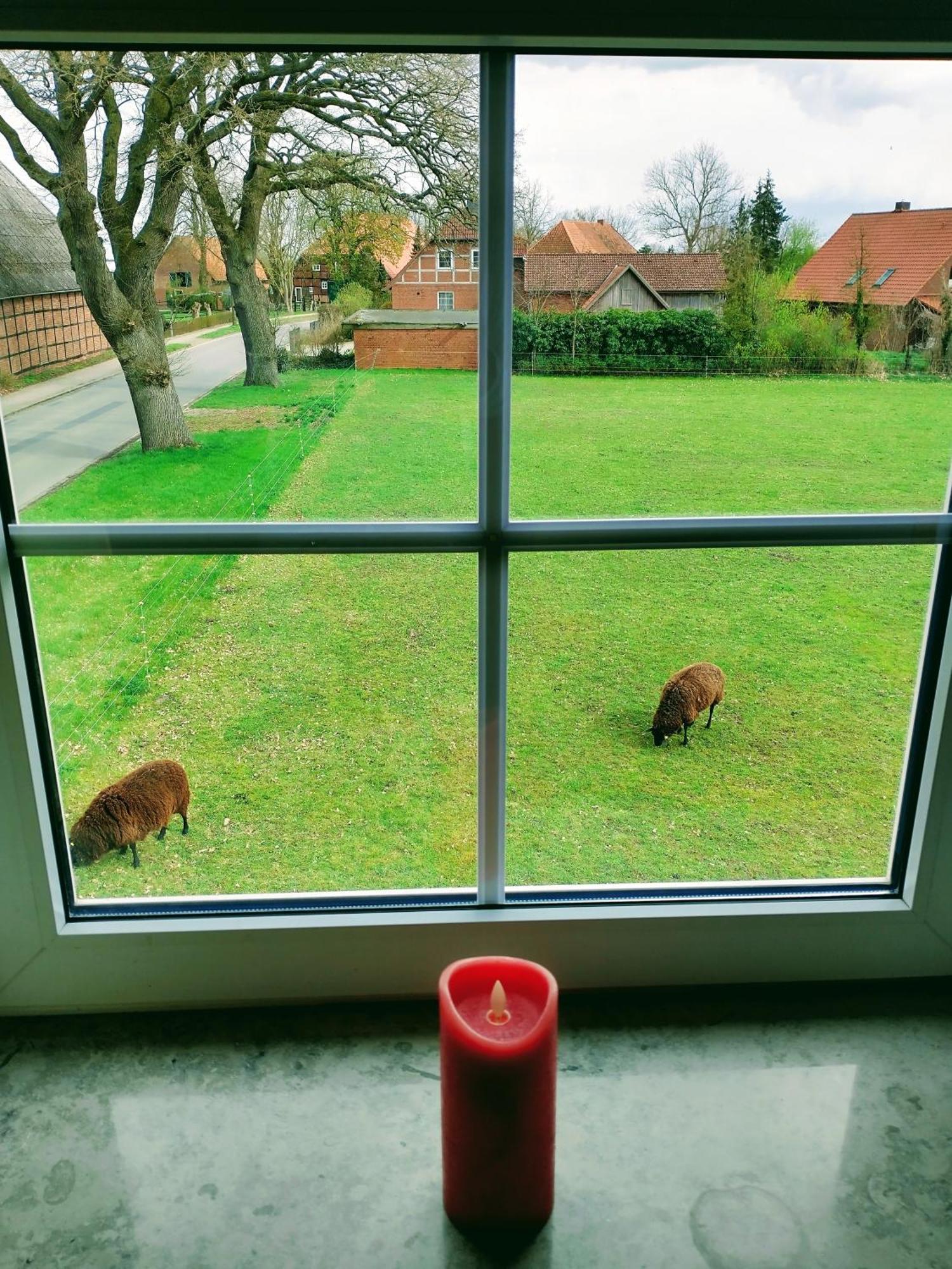 Ruhiges Exzellenz-Appartement Diana Im Elb-Urstromtal - Fast Wlan, Good For Long-Terms 布莱克德 外观 照片